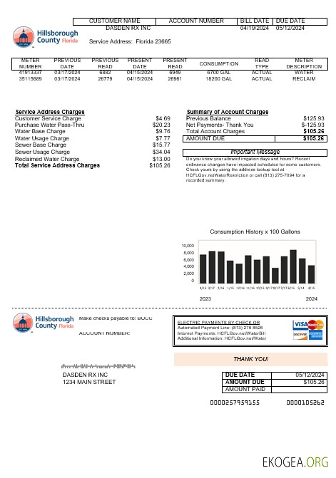 Modèle de facture de services publics du comté de Hillsborough aux États Unis aux formats Word et PDF